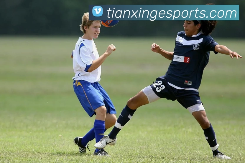 天行电竞官网APP 高清赛事图